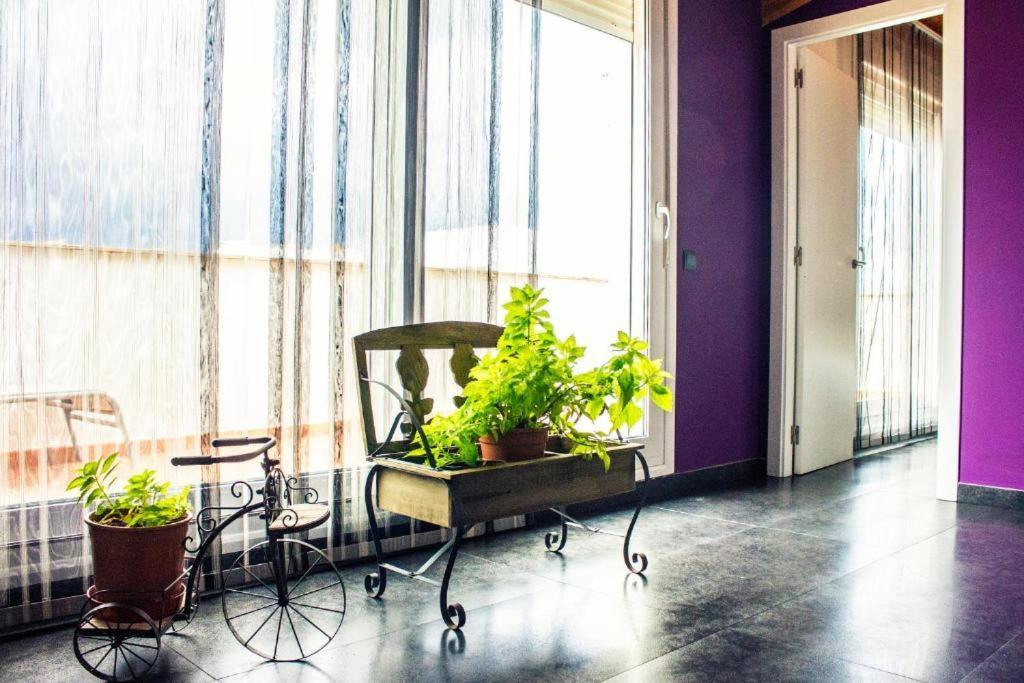 Apartamento Con Estilo Y Acogedor Sant Mateu Eksteriør bilde
